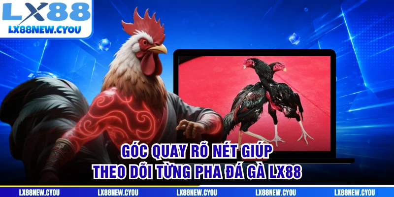 Góc quay rõ nét giúp theo dõi từng pha đá gà LX88